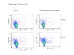 Naive Infected: 24-Hour Post-Challenge IFNγ Response and CFSE Analysis in Treated Animals - slide 1