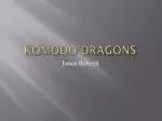 Komodo Dragons - slide 1
