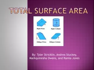 Total surface area