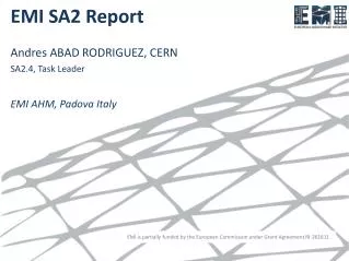 EMI SA2 Report