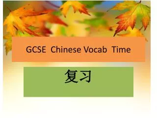 gcse chinese vocab time