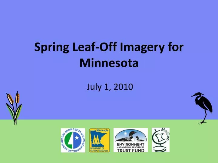 spring leaf off imagery for minnesota