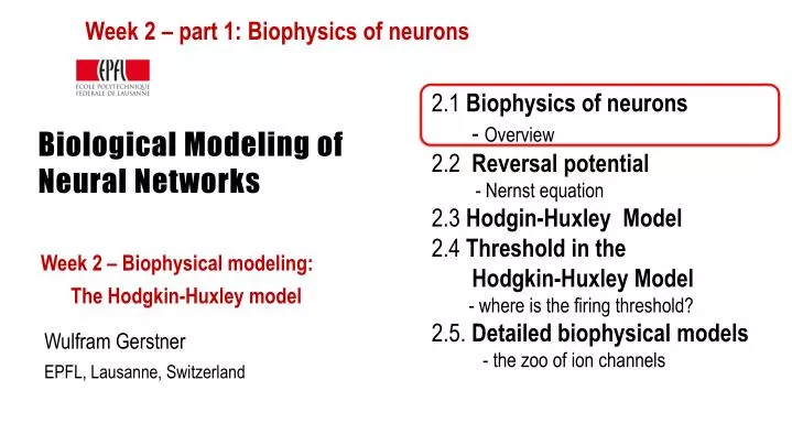 biological modeling of neural networks