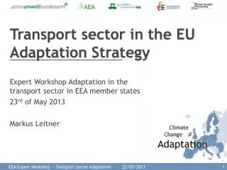 Transport sector in the EU Adaptation Strategy