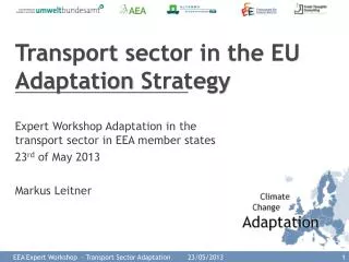 transport sector in the eu adaptation strategy