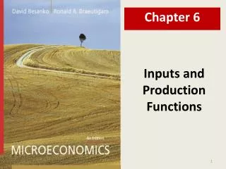 Inputs and Production Functions