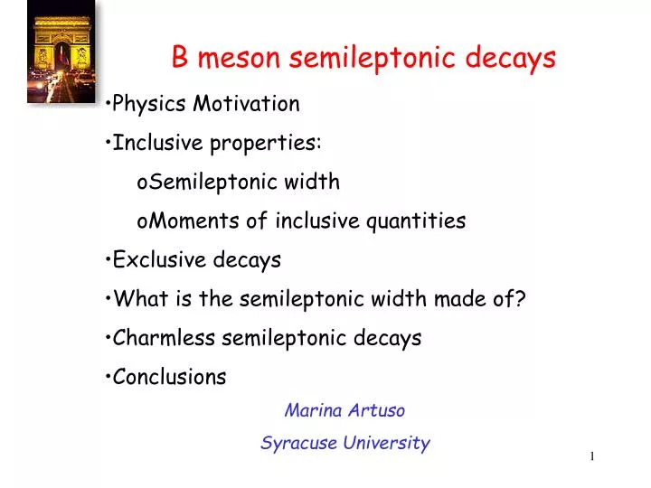 b meson semileptonic decays