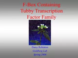 F-Box Containing Tubby Transcription Factor Family