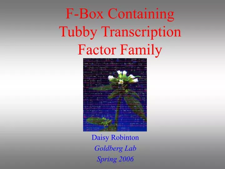 f box containing tubby transcription factor family