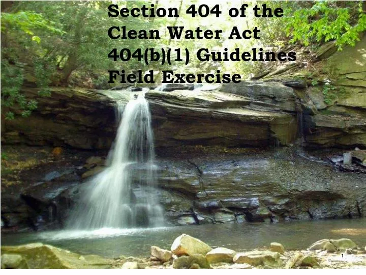 section 404 of the clean water act 404 b 1 guidelines field exercise