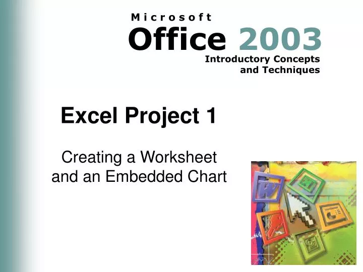 excel project 1