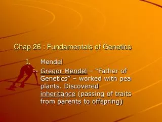 Chap 26 : Fundamentals of Genetics