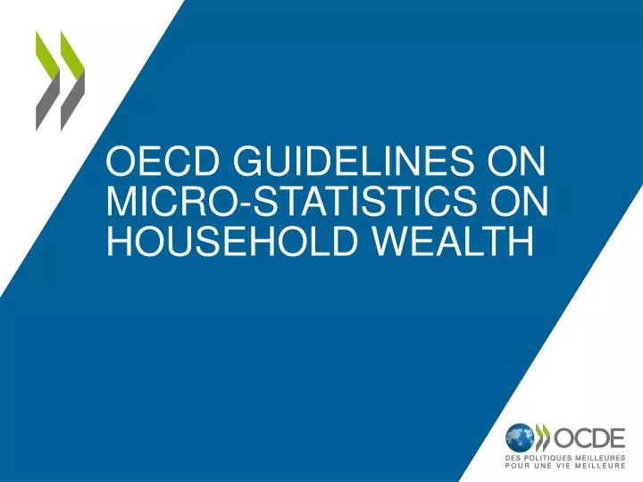oecd guidelines on micro statistics on household wealth