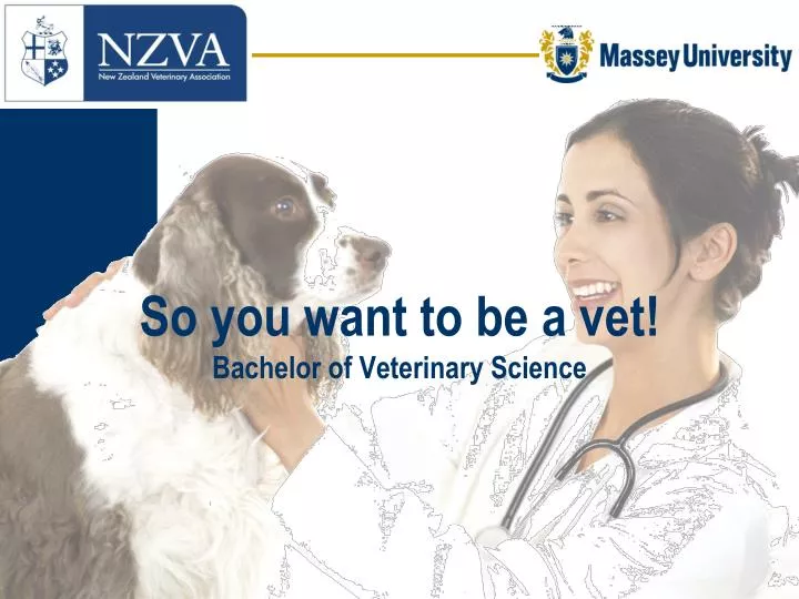 so you want to be a vet bachelor of veterinary science