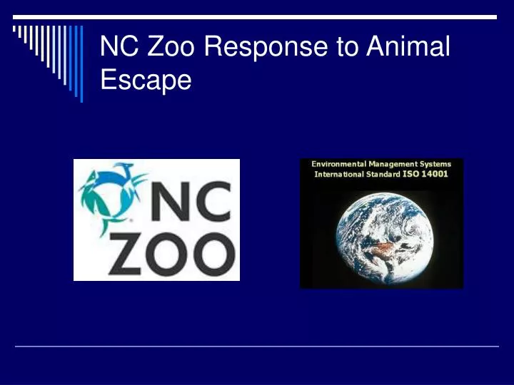 nc zoo response to animal escape