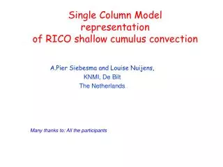 Single Column Model representation of RICO shallow cumulus convection