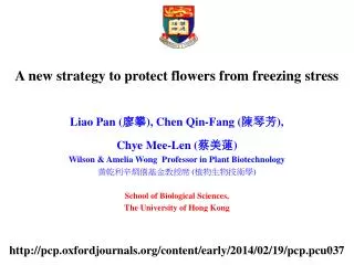 A new strategy to protect flowers from freezing stress
