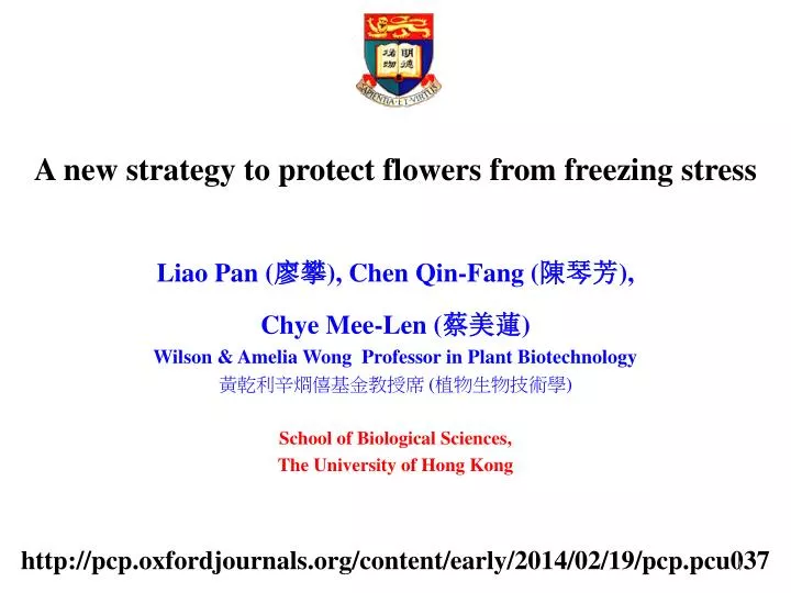 a new strategy to protect flowers from freezing stress