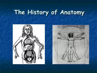The History of Anatomy