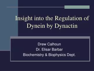 Insight into the Regulation of Dynein by Dynactin