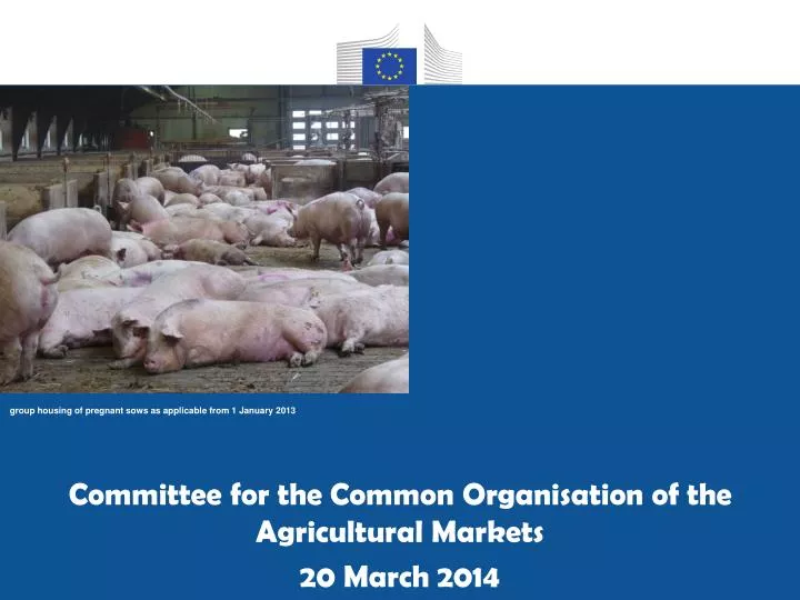 committee for the common organisation of the agricultural markets 20 march 2014