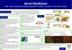 Advancements in Atrial Fibrillation and Heart Failure Research: A Comprehensive Guide - slide 1