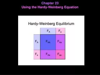 Chapter 23 Using the Hardy-Weinberg Equation
