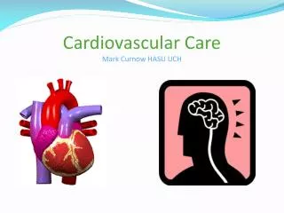 Cardiovascular Care Mark Curnow HASU UCH