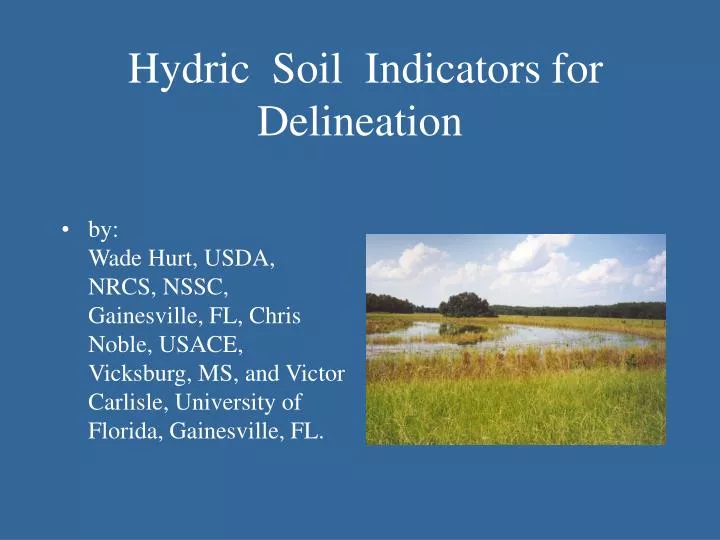 hydric soil indicators for delineation