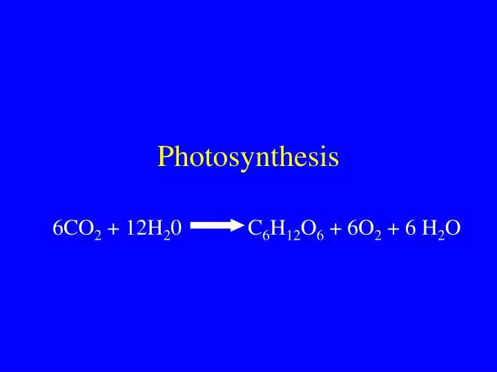 photosynthesis