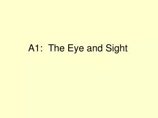 A1: The Eye and Sight