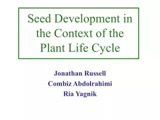 Seed Development in the Context of the Plant Life Cycle