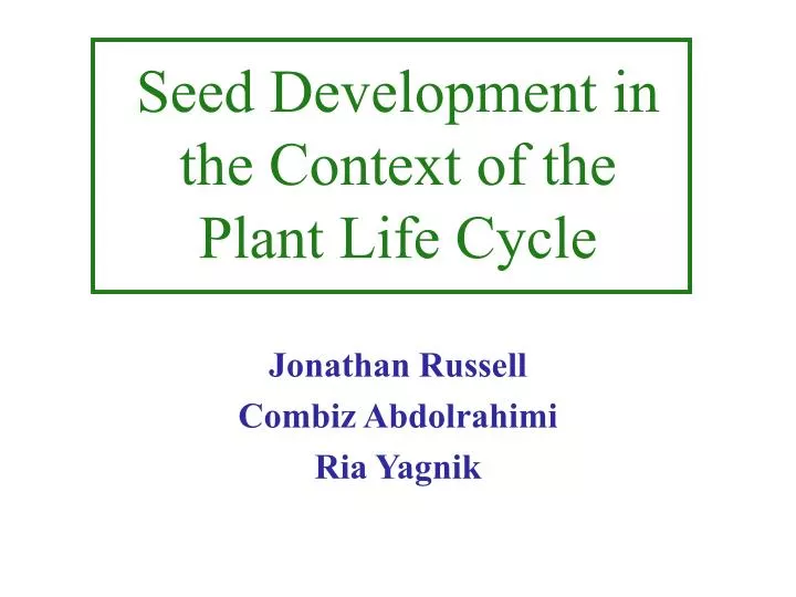 seed development in the context of the plant life cycle