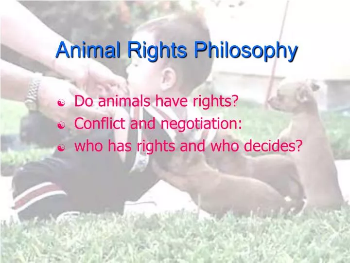 animal rights philosophy