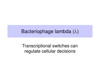 Bacteriophage lambda ( l )