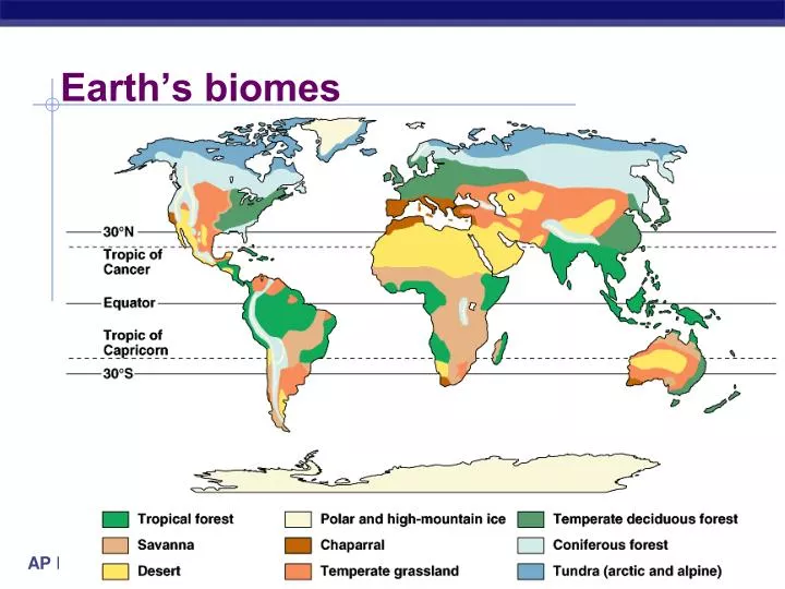 earth s biomes