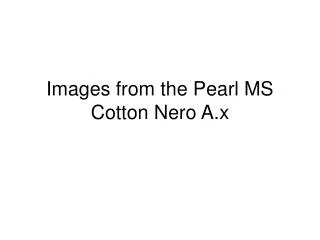 Images from the Pearl MS Cotton Nero A.x