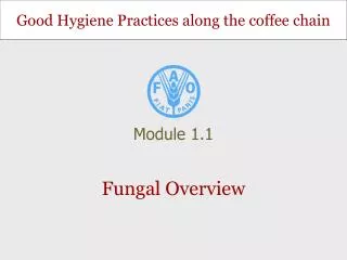 Fungal Overview