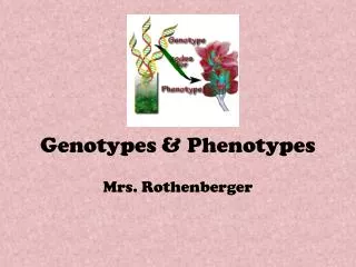 Genotypes &amp; Phenotypes