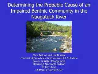 Determining the Probable Cause of an Impaired Benthic Community in the Naugatuck River