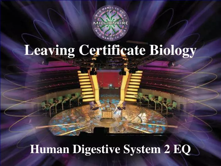 human digestive system 2 eq