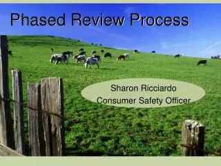 Phased Review Process