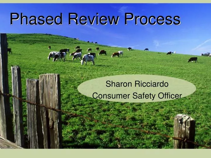 phased review process