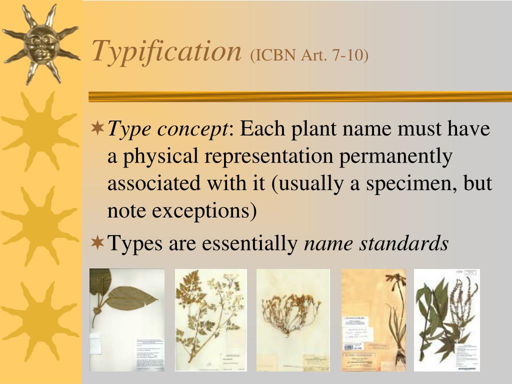 Typodification PPT - Typification (ICBN Art. 7-10) PowerPoint Presentation, free ...