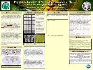 Population Genetics of Mycosphaerella fijiensis Morelet, the causative agent of Black Sigatoka