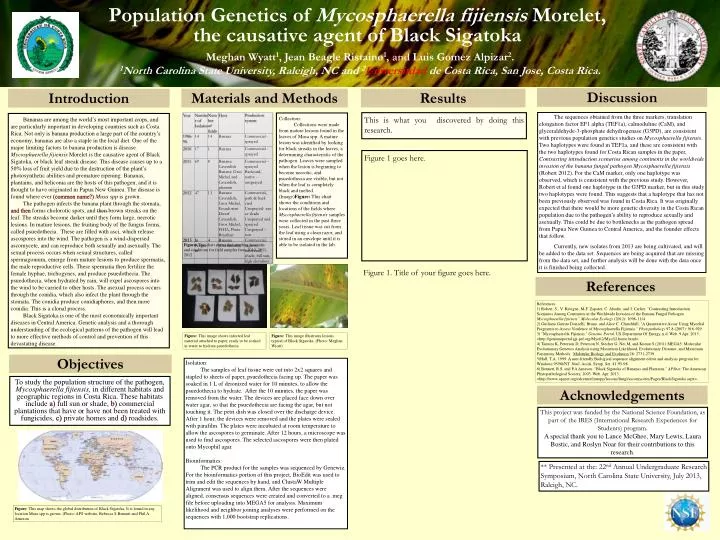 population genetics of mycosphaerella fijiensis morelet the causative agent of black sigatoka
