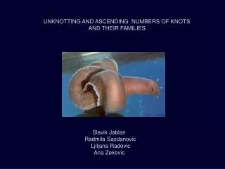 UNKNOTTING AND ASCENDING NUMBERS OF KNOTS 		AND THEIR FAMILIES