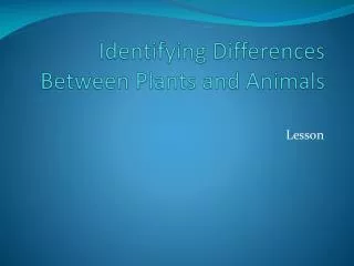 identifying differences between plants and animals