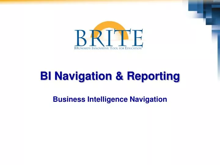 bi navigation reporting