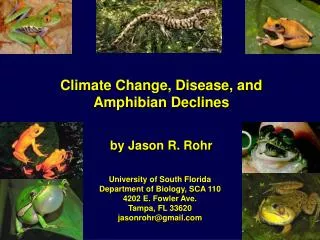 Climate Change, Disease, and Amphibian Declines